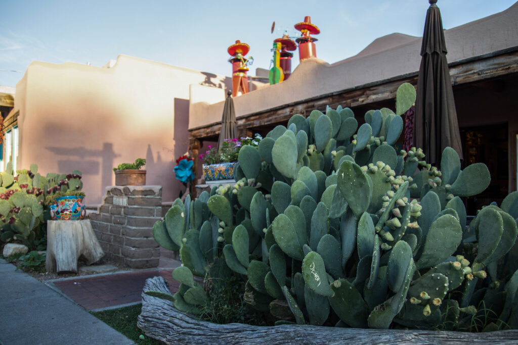 Busting Common Myths about Self Storage: Facts Albuquerque Residents Should Know